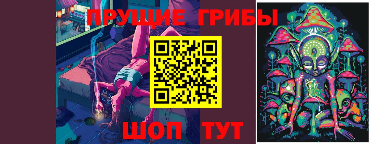 Киров  Псилоцибиновые грибы мицелий  Вход с VPN  цена   Галлюциногенные грибы мицелий 